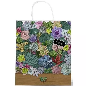 Пакет «Суккуленты», 26 х 22 х 10 см