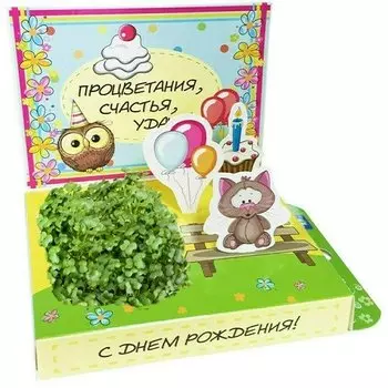 Подарочный набор Happy Plant С Днём рождения! (Котик)