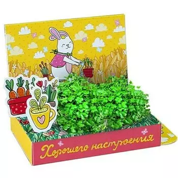 Подарочный набор Happy Plant Весёлые моменты. Хорошего настроения! (Заяц)