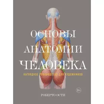 Роберто Ости. Основы анатомии человека