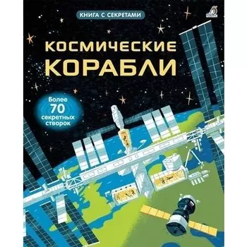 Рози Дикинс. Открой тайны. Космические корабли