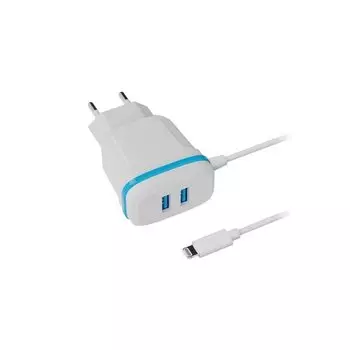 Сетевое зарядное устройство Ritmix RM-2082L