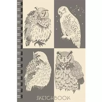 Скетчбук "Совы &amp; филины", 100 листов, 100 г/м2