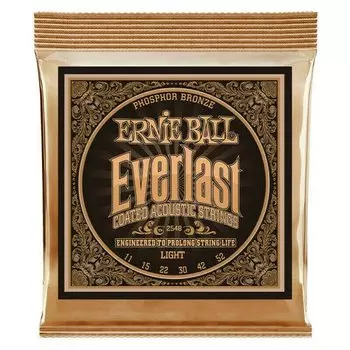 Струны для акустической гитары Ernie Ball 2548 Everlast Coated Phosphor Bronze Light 11-52