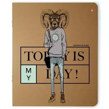 Тетрадь Bruno Visconti "Сегодня мой день!", 48 листов, в ассортименте