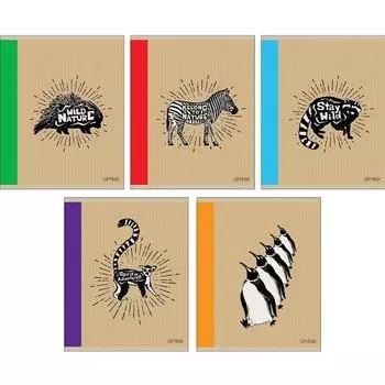 Тетрадь "Черно-белая команда" А5, 48 листов, в клетку, в ассортименте