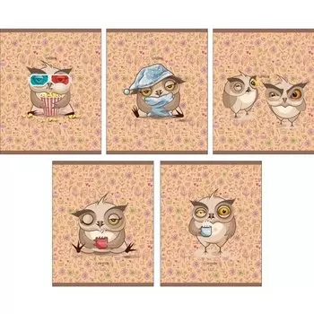 Тетрадь "День совы" А5, 48 листов, в клетку, в ассортименте
