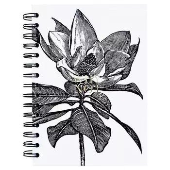 Тетрадь общая Be Smart Aesthetics Черный Цветок На Белом, в клетку, 120 листов, 144 х 204 мм