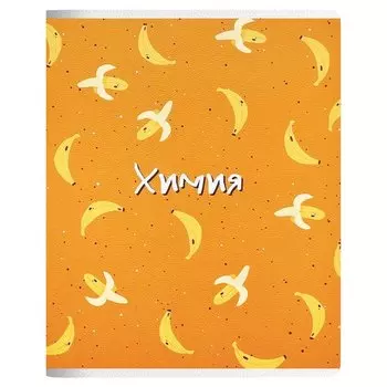 Тетрадь общая Be Smart Fruits Химия, в клетку, 48 листов, 165 х 203 мм
