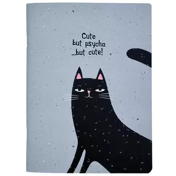 Тетрадь общая Be Smart, коллекция Silly Черный кот, 165 х 220 мм, 48 листов, в клетку, на скрепках