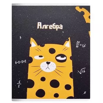 Тетрадь общая Be Smart Silly Алгебра, в клетку, 48 листов, 165 х 203 мм