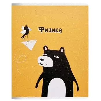 Тетрадь общая Be Smart Silly Физика, в клетку, 48 листов, 165 х 203 мм