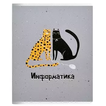 Тетрадь общая Be Smart Silly Информатика, в клетку, 48 листов, 165 х 203 мм