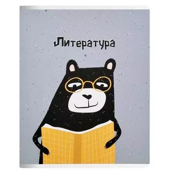 Тетрадь общая Be Smart Silly Литература, в линейку, 48 листов, 165 х 203 мм