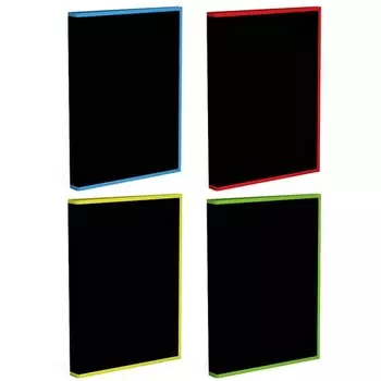 Тетрадь общая на кольцах ErichKrause Accent, А4, 80 листов, в клетку