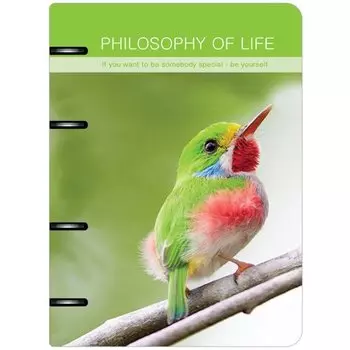 Тетрадь общая "Birds" на кольцах, 120 листов, в клетку, 16,3 х 21,2 см