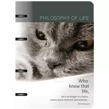 Тетрадь общая "Cats and dogs", 120 листов, в клетку, 16,3 х 21,2 см