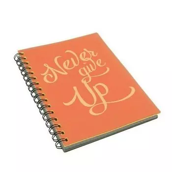 Тетрадь Paper Art Light Book, 80 листов, в клетку, на гребне, А5, оранжевая