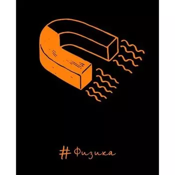 Тетрадь по физике "Неоновые акценты", 48 листов