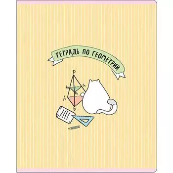 Тетрадь предметная "Feles", геометрия, 48 листов, 16,5 х 20,3 см