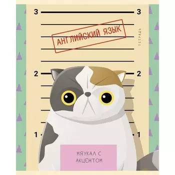 Тетрадь предметная "Пушистые хулиганы" А5, английский язык, 48 листов