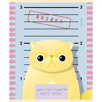 Тетрадь предметная "Пушистые хулиганы" А5, физика, 48 листов