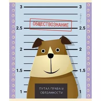 Тетрадь предметная "Пушистые хулиганы" А5, обществознание, 48 листов