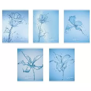 Тетрадь "Хрустальные капли" А5, 48 листов, в клетку, в ассортименте