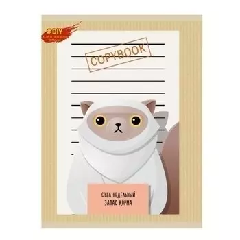 Тетрадь "Коты бандиты" А5, 48 листов, в клетку, в ассортименте