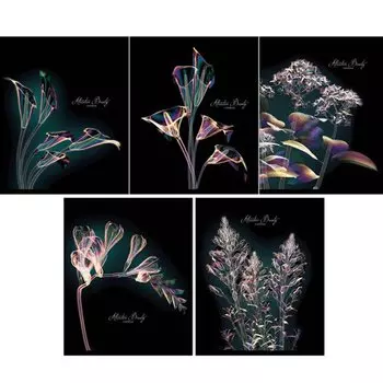 Тетрадь "Мерцающие лепестки" А5, 48 листов, в клетку, в ассортименте