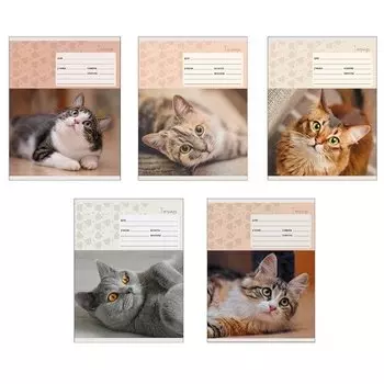 Тетрадь "Мой котик" А5, 24 листа, в линейку, в ассортименте