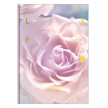 Тетрадь "Rose", 96 листов, в клетку, 14 х 20 см