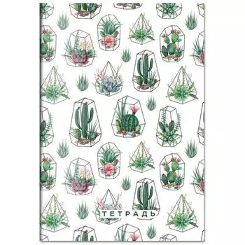 Тетрадь "Суккуленты." А5, 48 листов, в клетку