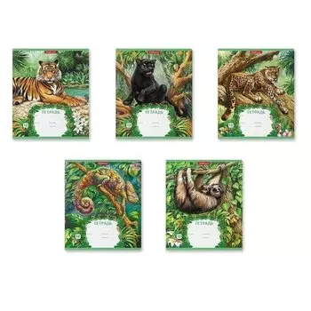 Тетрадь школьная ученическая Erich Krause Джунгли, 12 листов, в линейку, в ассортименте