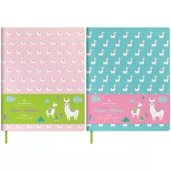 Тетрадь "Vision. Alpaca" А5, 80 листов, в клетку, в ассортименте