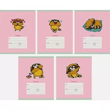 Тетрадь "Забавный енот" А5, 24 листа, в клетку