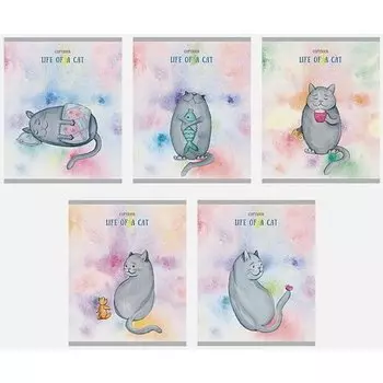 Тетрадь "Жизнь кота" А5, 48 листов, в клетку