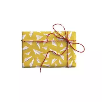 Упаковочная бумага "O’Paper planes", 100 х 70