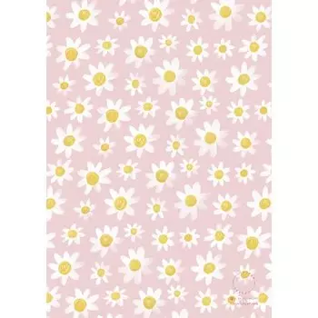 Упаковочная бумага Opaperpaper Ромашки, двусторонняя, 70 х 100 см