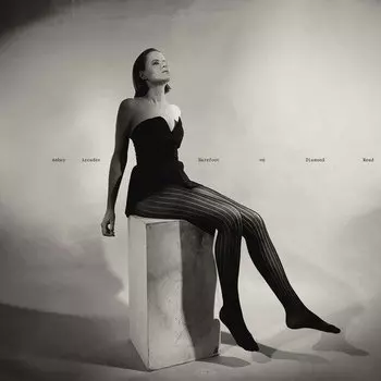 Виниловая пластинка Amber Arcades – Barefoot On Diamond Road LP