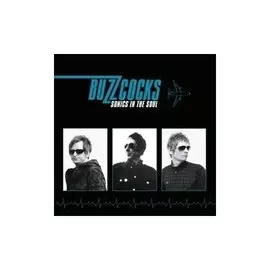 Виниловая пластинка Buzzcocks – Sonics In The Soul LP