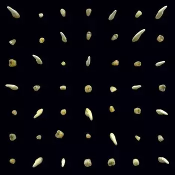 Виниловая пластинка Clipping. – Visions Of Bodies Being Burned 2LP