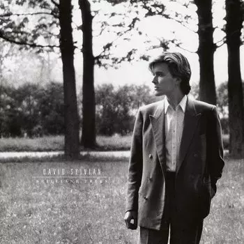Виниловая пластинка David Sylvian - Brilliant Trees