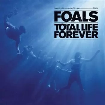Виниловая пластинка Foals - Total Life Forever LP