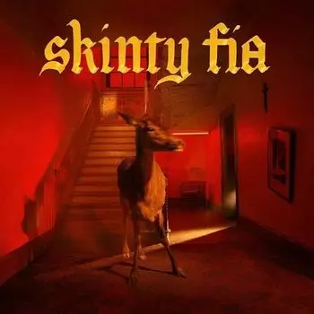 Виниловая пластинка Fontaines D.C. - Skinty Fia (Red) LP