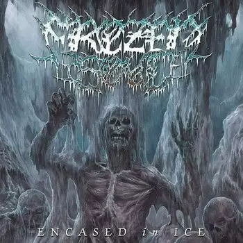 Виниловая пластинка Frozen Soul - Encased In Ice LP