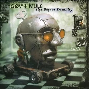 Виниловая пластинка Gov't Mule - Life Before Insanity 2LP