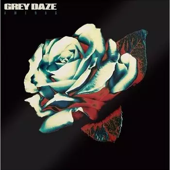 Виниловая пластинка Grey Daze - Amends (Box(+CD))