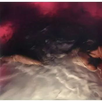 Виниловая пластинка Hayler Williams - Flowers For Vases/Descansos LP