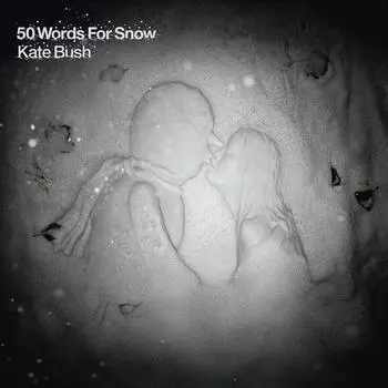 Виниловая пластинка Kate Bush - 50 Words For Snow 2LP